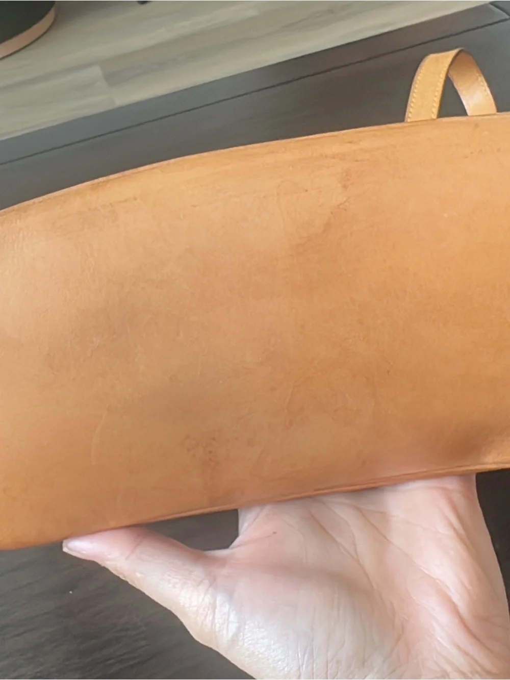Louis Vuitton iconic lv